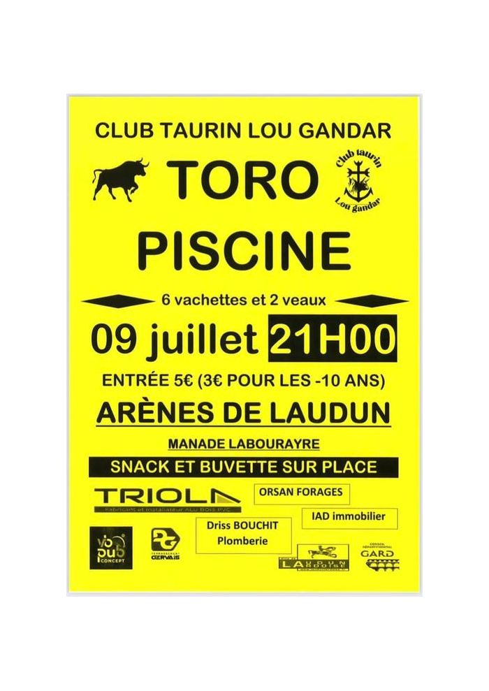 Club Taurin Lou Gandar : TORO PISCINE
