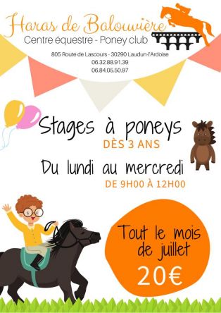 Stage Poney